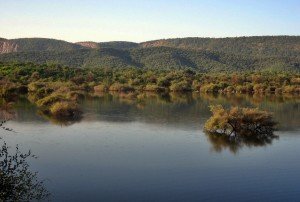 Water_body_within_the_Sariska_Reserve,_Rajasthan