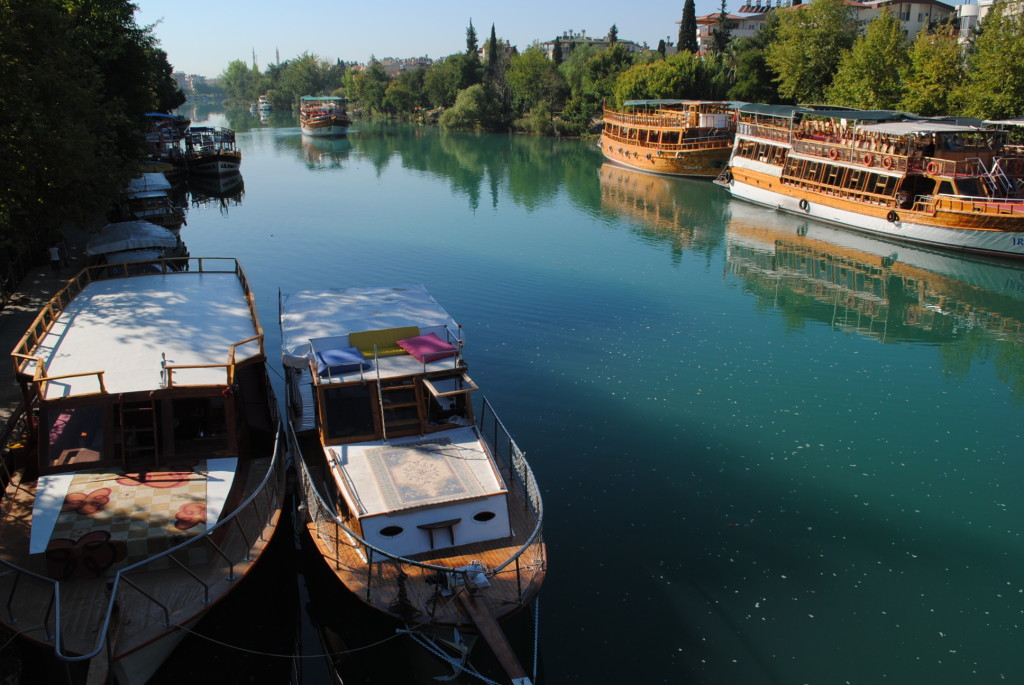 Devlet Su Ýþleri(DSÝ) Antalya Manavgat Ovalarýný Ýþletme ve Bakým Þube Müdürlüðü, Manavgat Irmaðý, Naras ve Akçay çaylarýndaki toprak aþýnmasýný önlemek için böðürtlen, sögüt aðacý ve kargý dikecek.